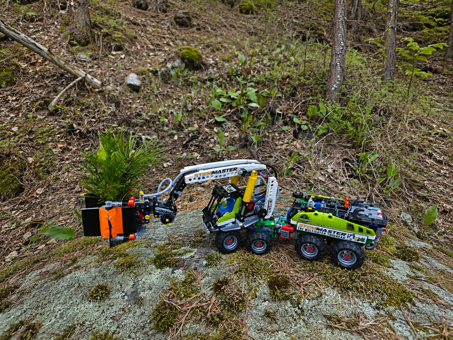 Forestry machine working in a coniferous forest