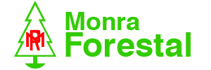 Monra Forestal