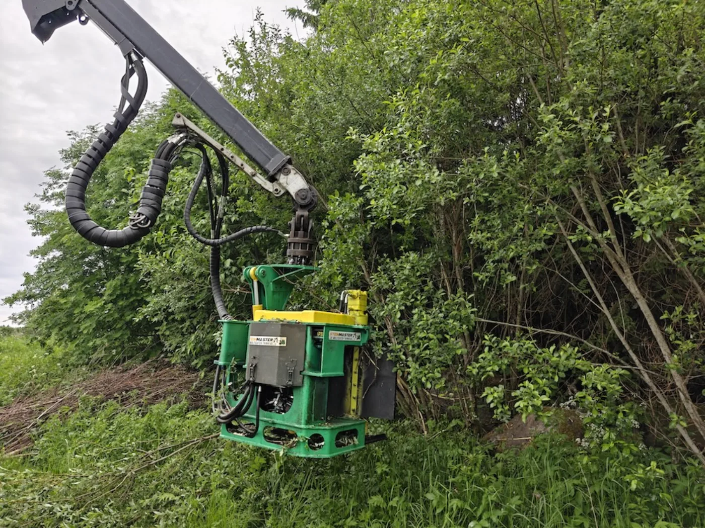StemMaster — continuous-feed felling and biomass head